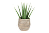 Debossed Teracotta Planter