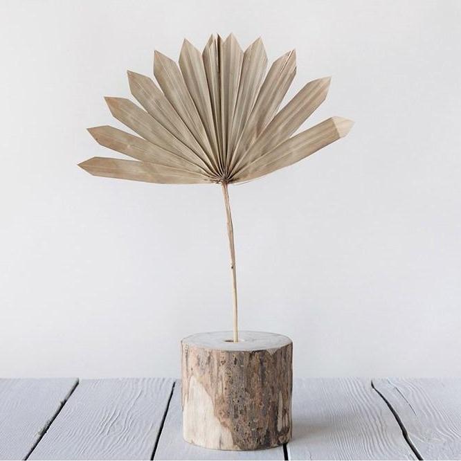 Dried Sun Cut Palm Bunch