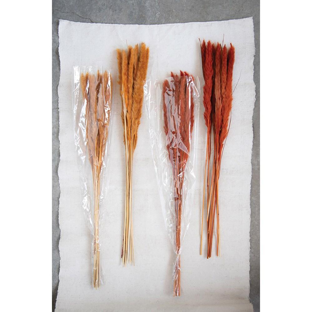 Dried Saffron Pampas Grass Bunch