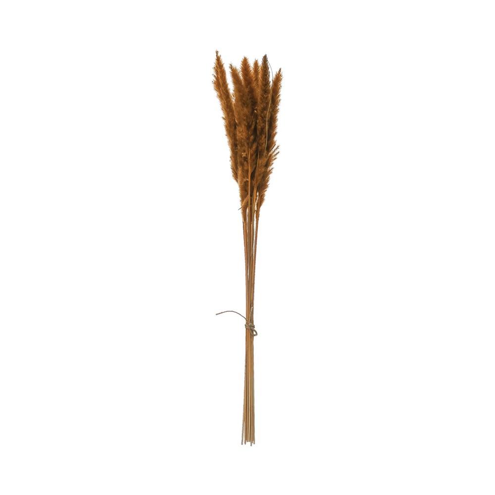 Dried Mustard Pampas Grass Bunch