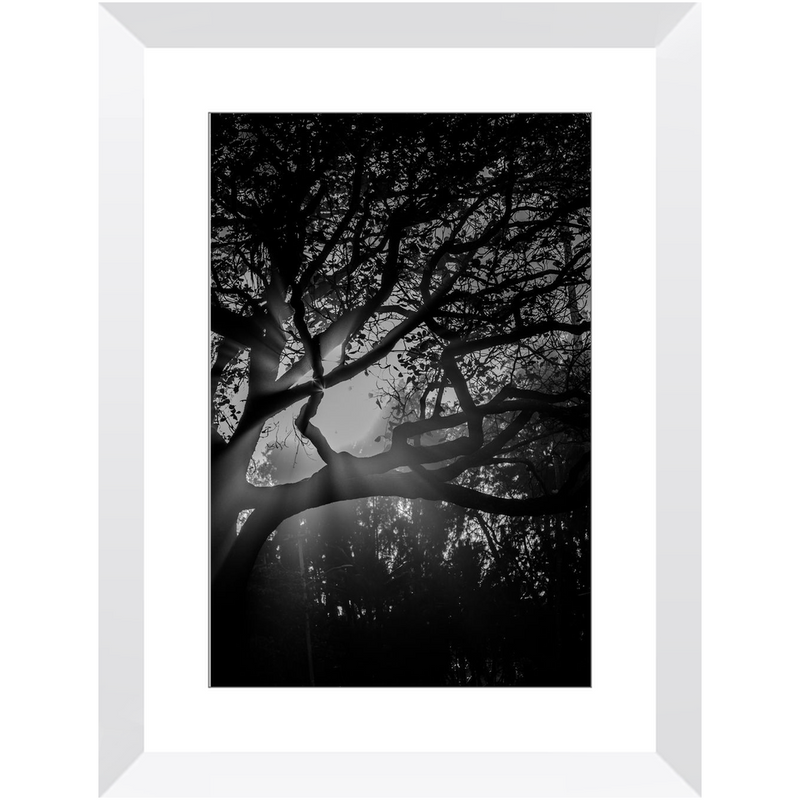 Island Light Framed Print