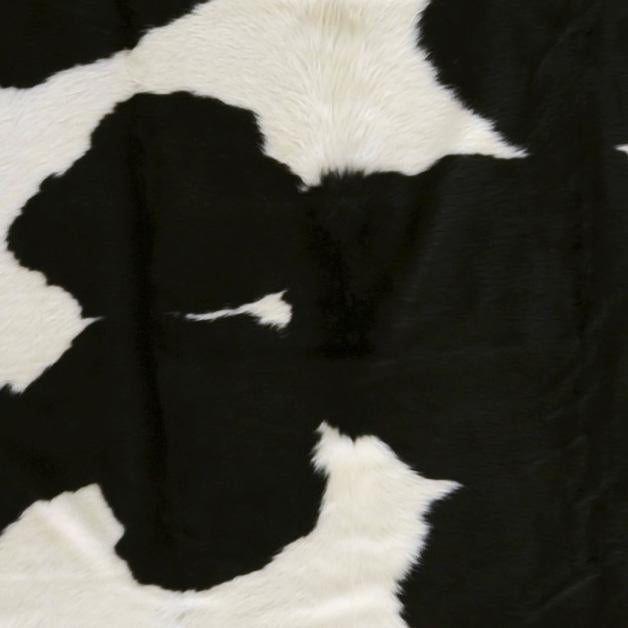 Duke Collection Animal Area Rug in Black and White