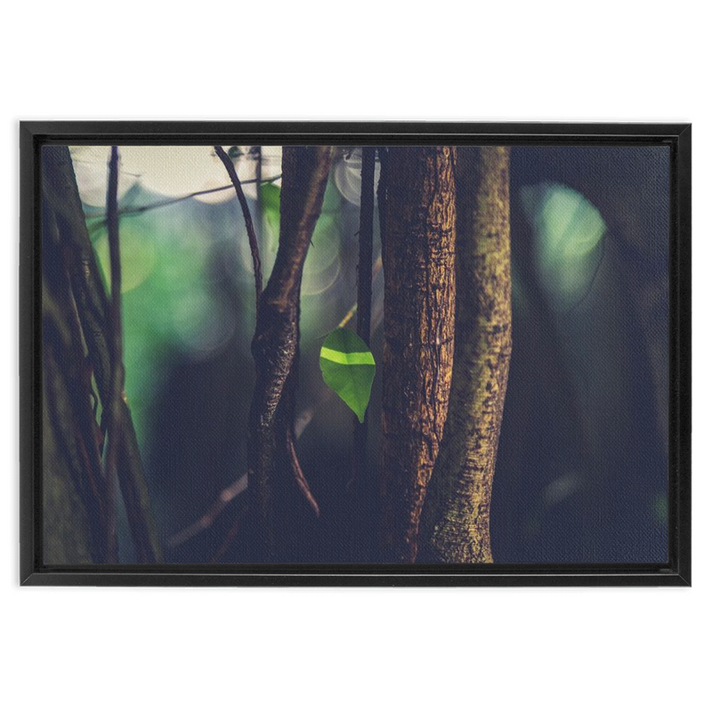 Leaf Framed Canvas