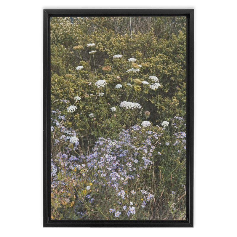 Wildflowers Framed Canvas