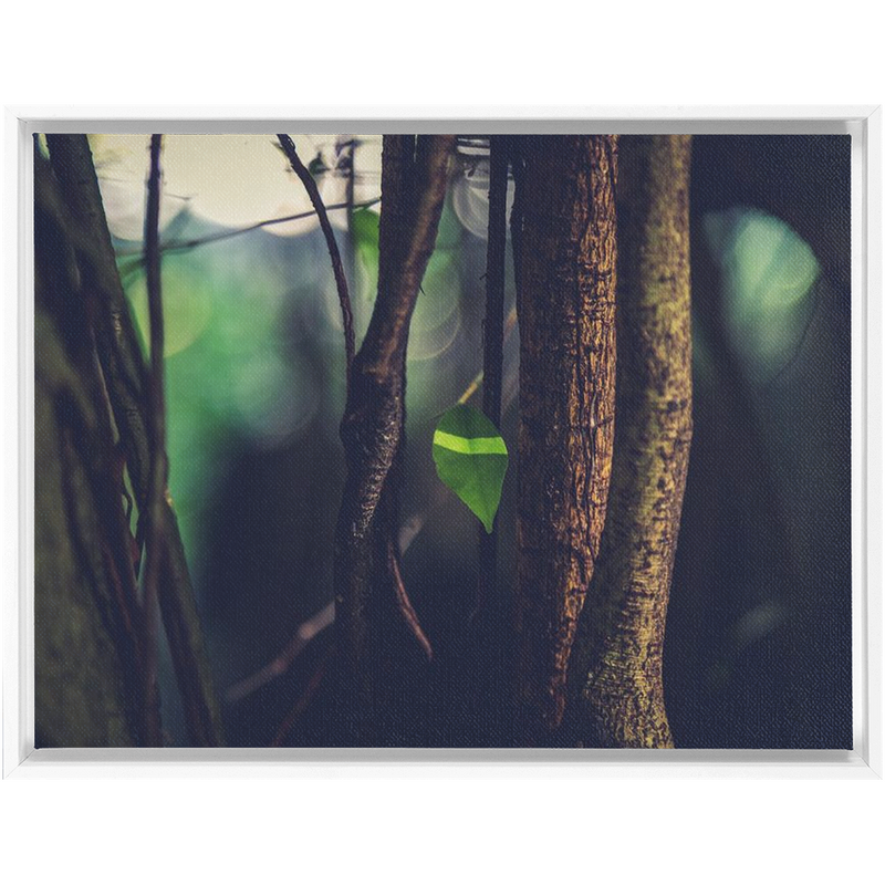 Leaf Framed Canvas