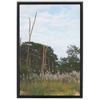 Meadow Framed Canvas