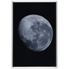 Bue Moon Framed Canvas