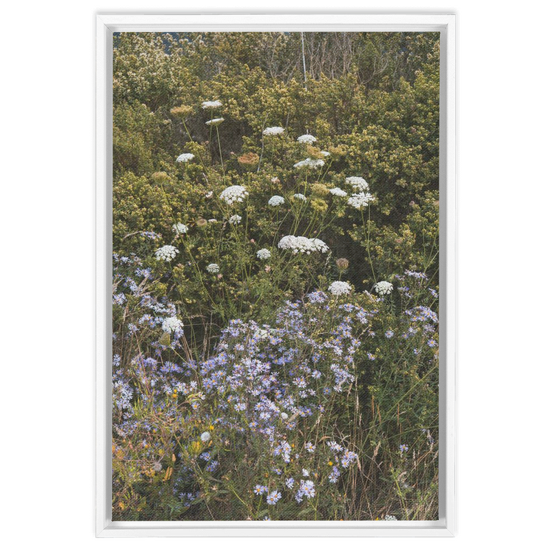 Wildflowers Framed Canvas