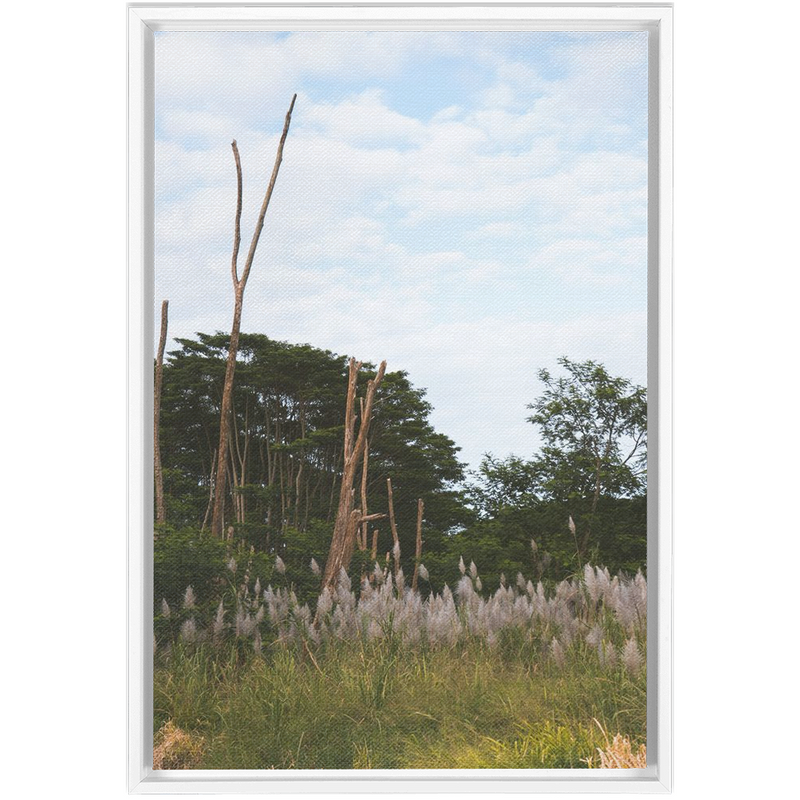 Meadow Framed Canvas