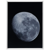 Bue Moon Framed Canvas