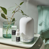 Misting Diffuser Set with Wild Mint & Euclayptus