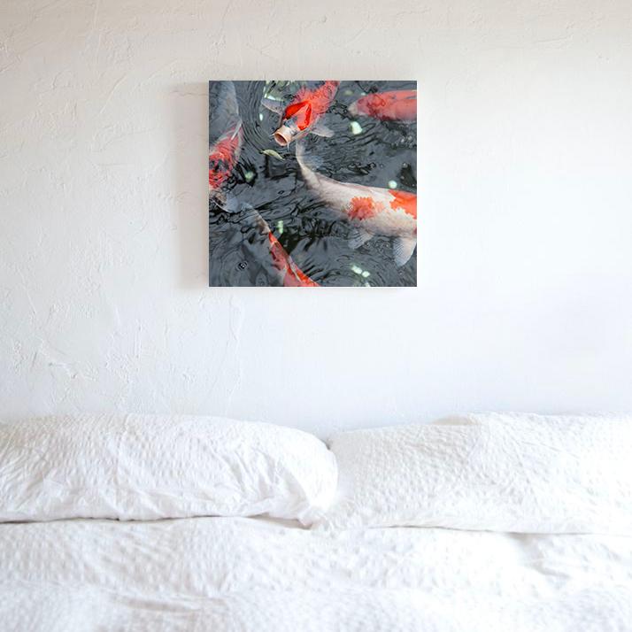 Koi Photo Print