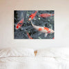 Koi Photo Print