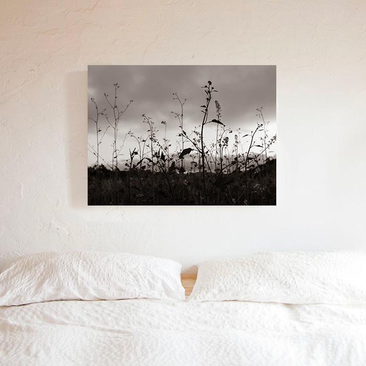 Meadow Photo Print