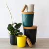 Claro Bamboo Storage Jar XL in Various Colors