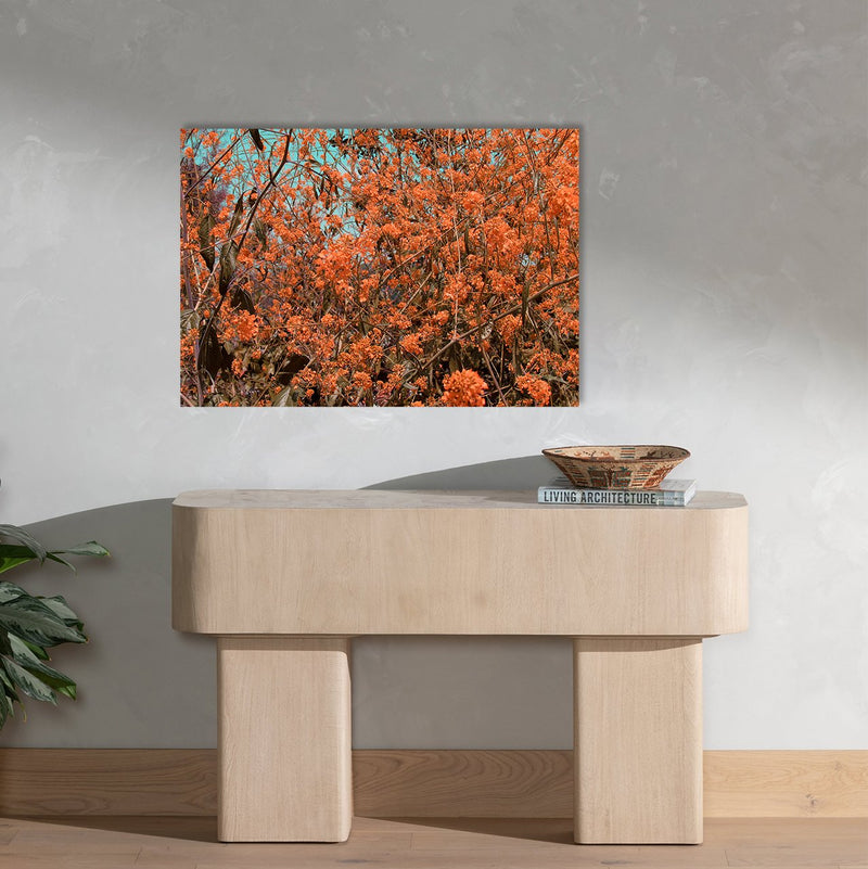 Orange Flowers Photo Print