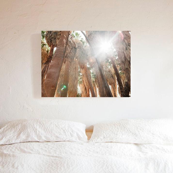 Palms Photo Print