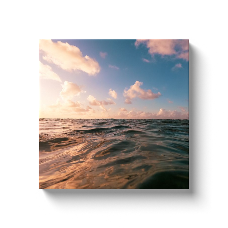 Sunrise Swim Photo Print