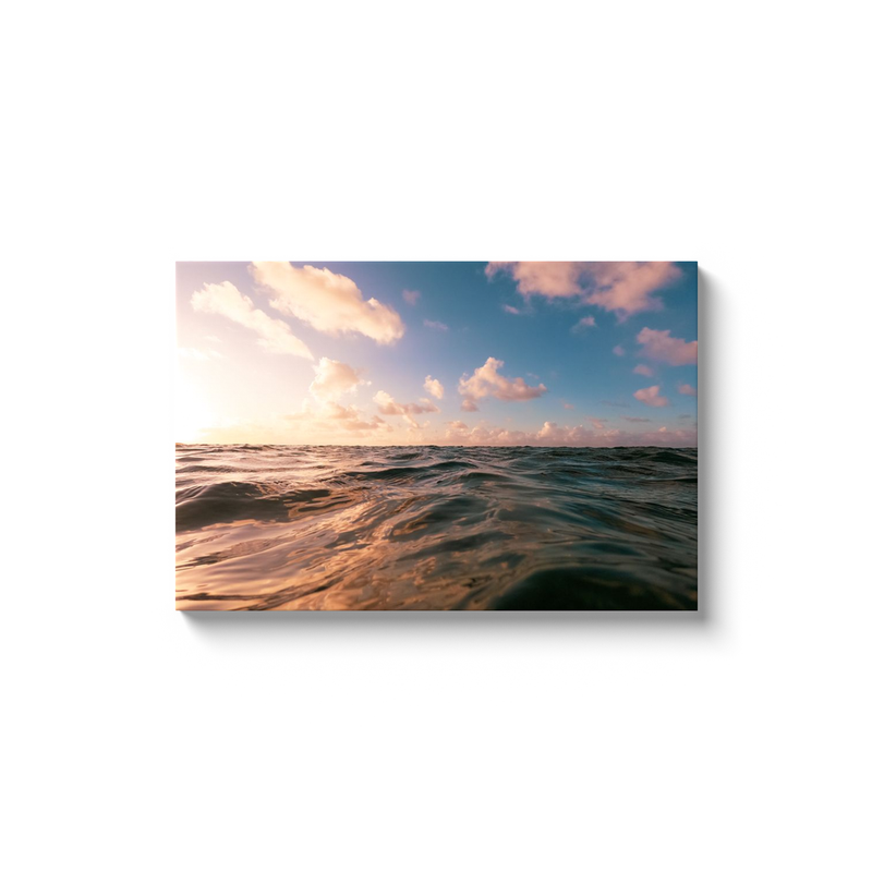 Sunrise Swim Photo Print