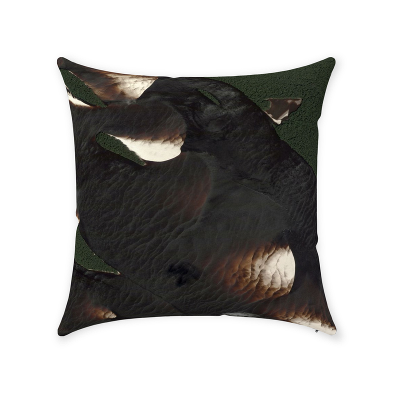 Cloud Cover Throw Pillow