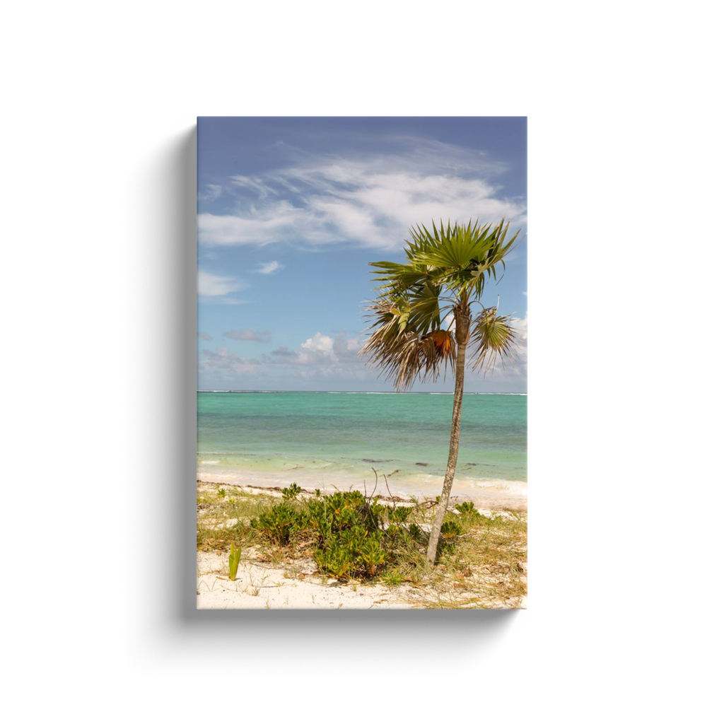 Island Time Canvas