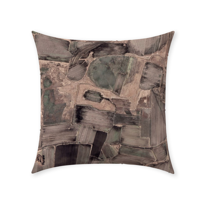 Plot Throw Pillow