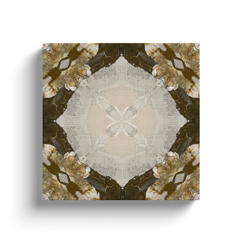 Chocolate Ro Kaleidoscope Canvas