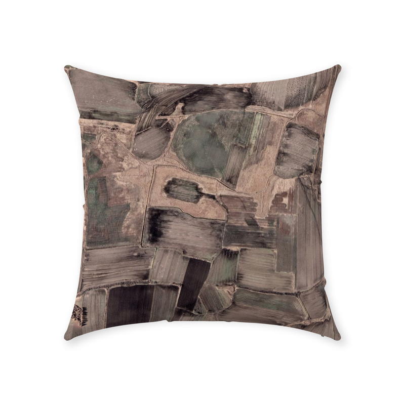 Plot Throw Pillow