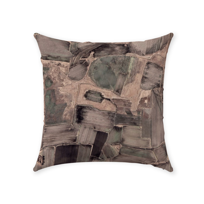 Plot Throw Pillow