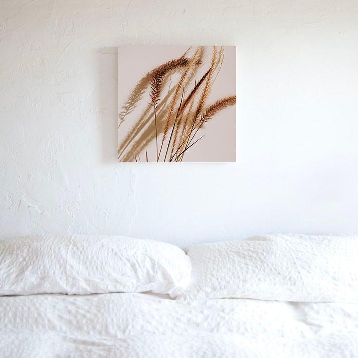 Aristida Photo Print