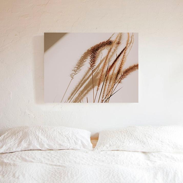 Aristida Photo Print