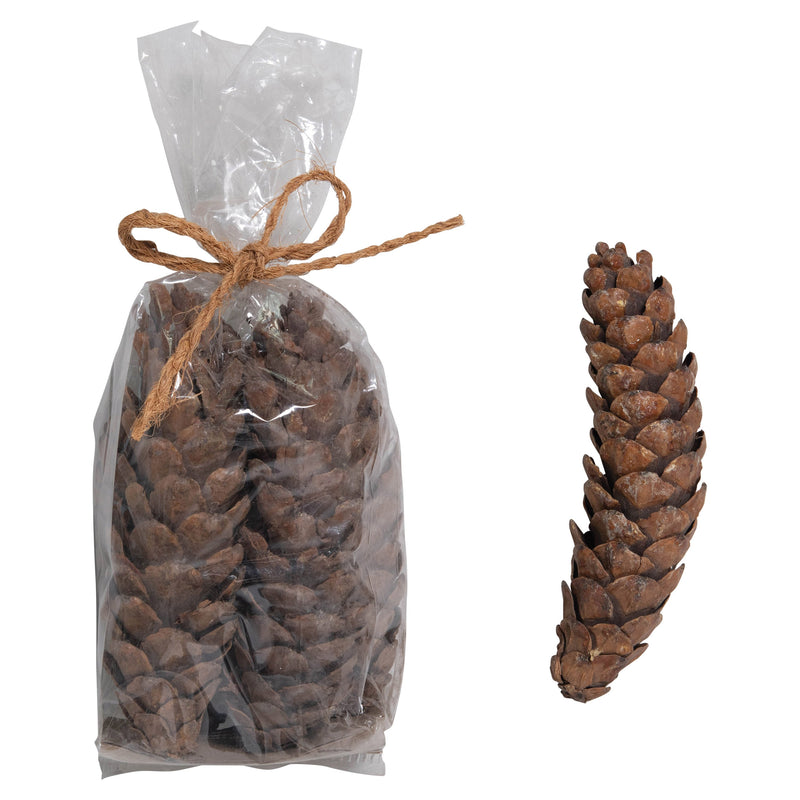 Dried Natural Pinecones